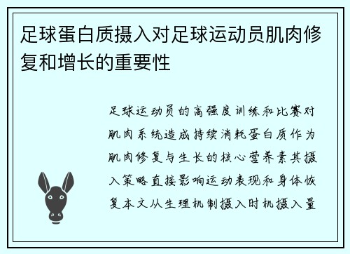 足球蛋白质摄入对足球运动员肌肉修复和增长的重要性